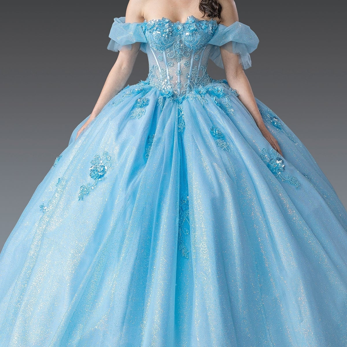 Vestidos de Quinceaño DQ1990