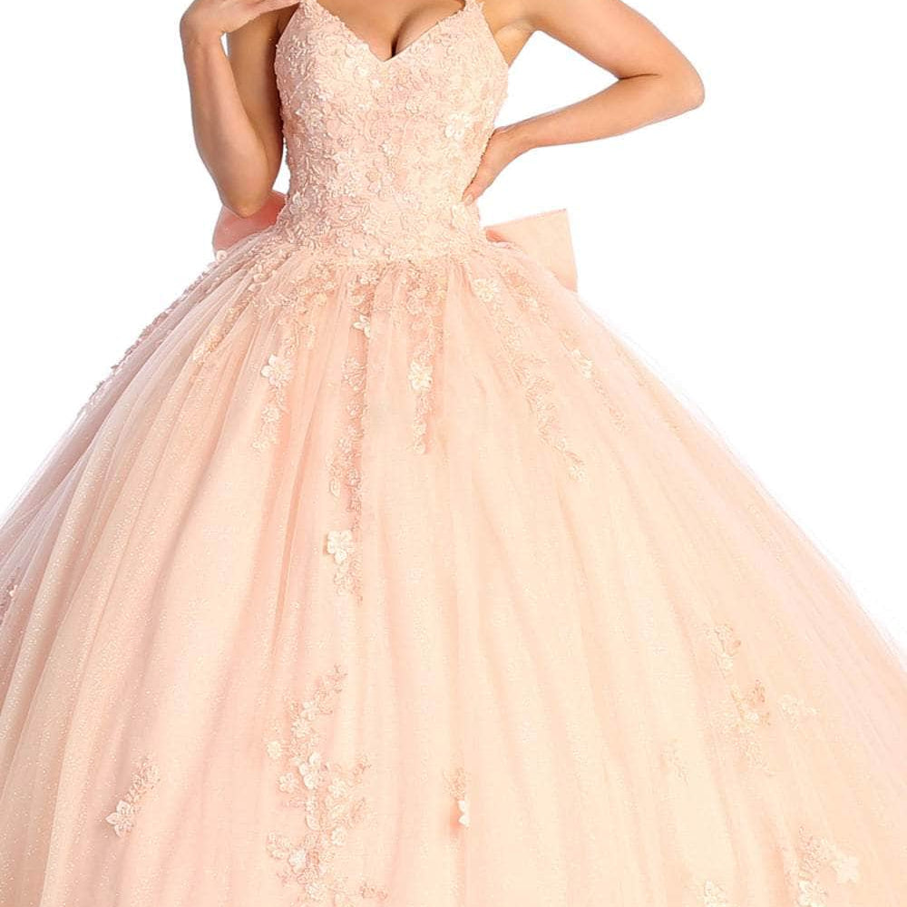 Vestido de quinceañera con escote en V bordado LK174