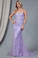Amelia Couture 7024 Vestido Largo Sin Mangas Bordado Malla