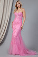 Amelia Couture 7024 Vestido Largo Sin Mangas Bordado Malla