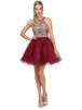Vestido corto sin mangas con apliques florales Dancing Queen 2156