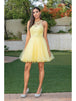 Vestido corto sin mangas con apliques florales Dancing Queen 2156