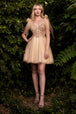 Vestido de tul corto de corte Linea-A CD0174 de Ladivine