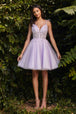 Vestido corto de tul y encaje CD0188 de Ladivine