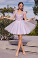 Vestido de tul corto de corte Linea-A CD0174 de Ladivine