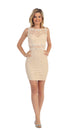 Vestido de fiesta de encaje transparente con apliques Dancing Queen 9099